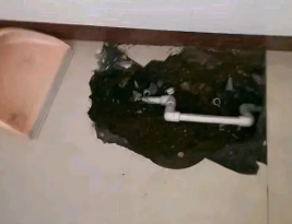 大竹卫生间测漏水多少钱 大竹卫生间测漏水多少钱